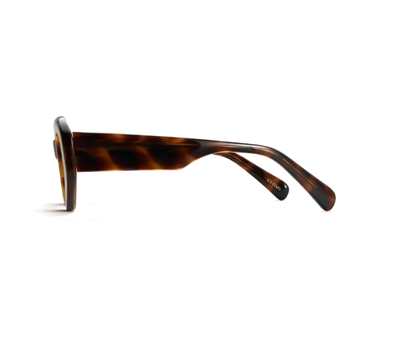 CHIMI 09
