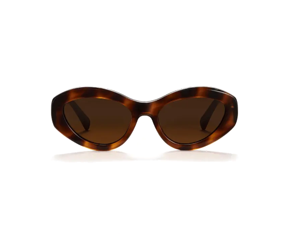 CHIMI 09 - Tortoise