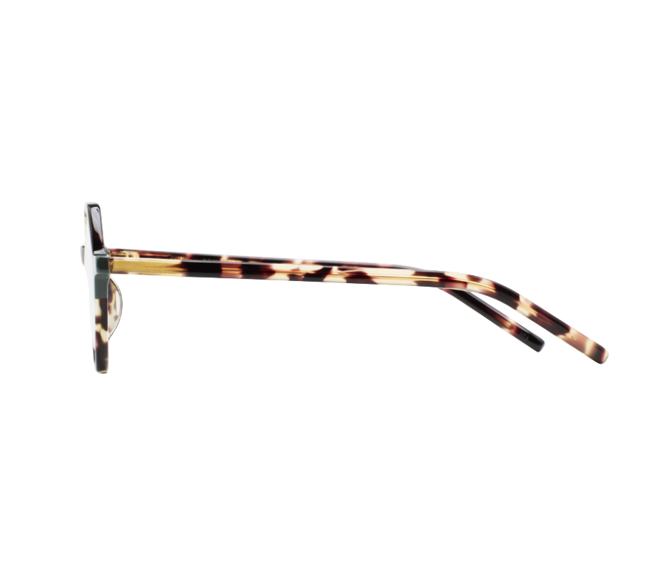KALEOS FEINSTEIN - Lunettes de vue