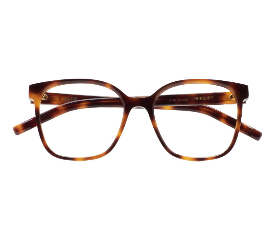 KALEOS NORBURY - Lunettes de vue