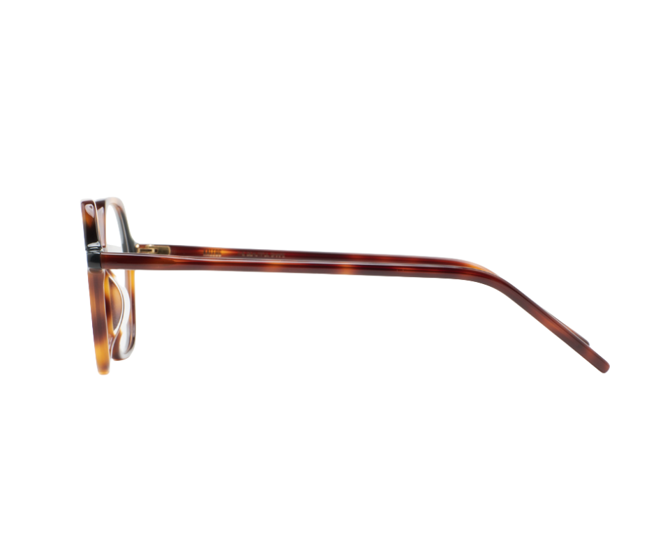 KALEOS PERRY - Lunettes de vue