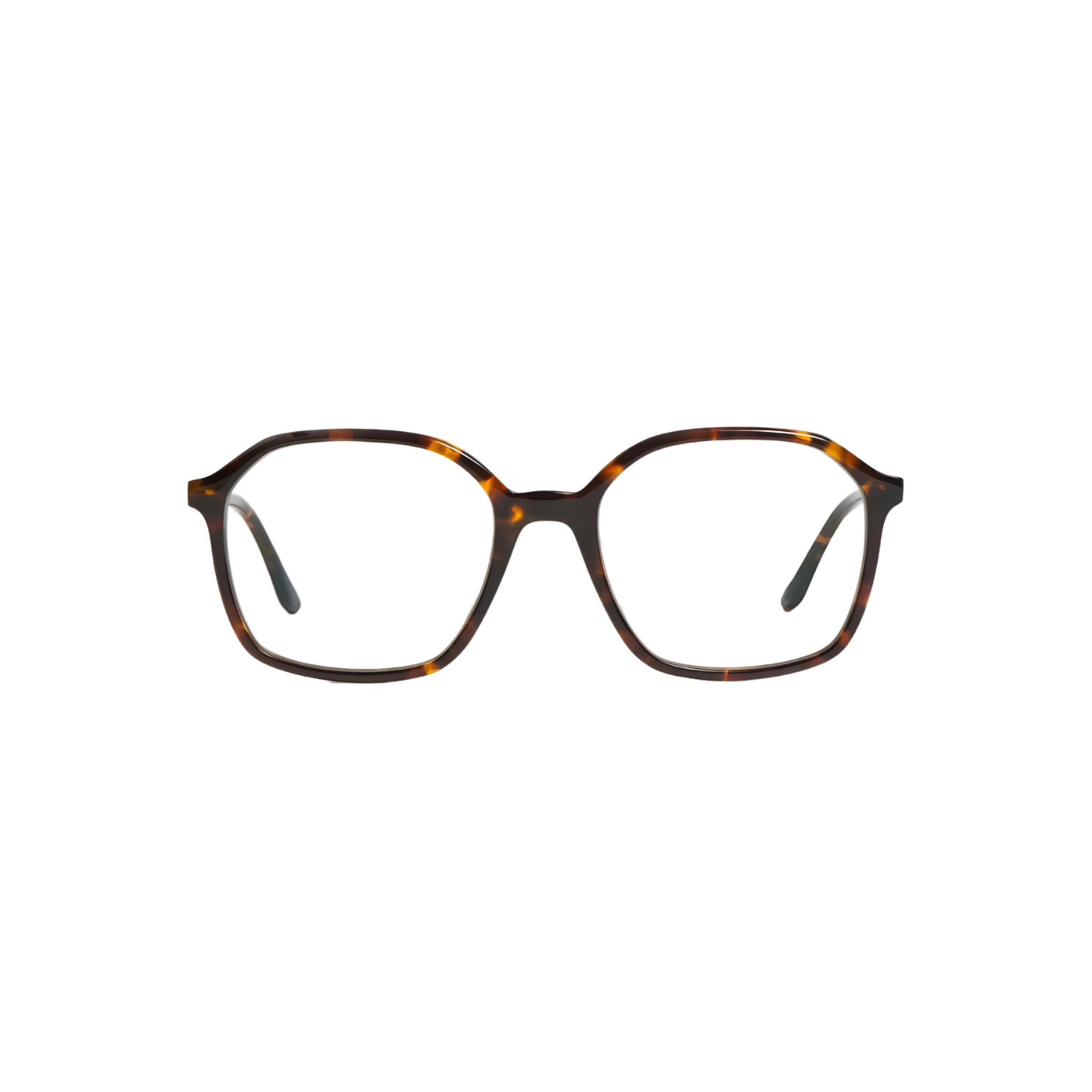 PETER AND MAY ALMA - Tortoise - Lunettes de vue