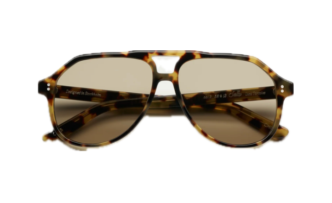 CHIMI Sally Lica Tortoise