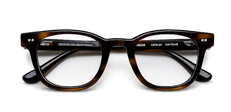 01.3 OPTIC TORTOISE