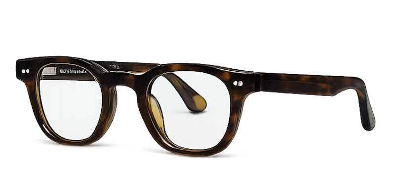 02.3 OPTIC TORTOISE