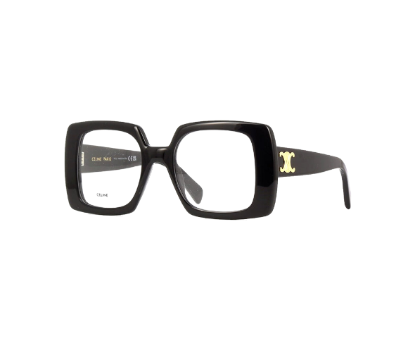 CELINE CL 50121L
