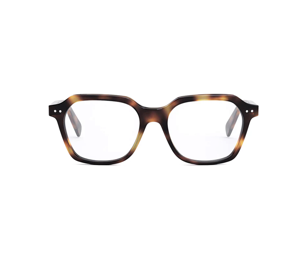 CELINE CL 50127I