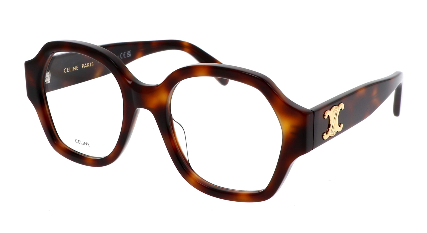 CELINE CL50134I
