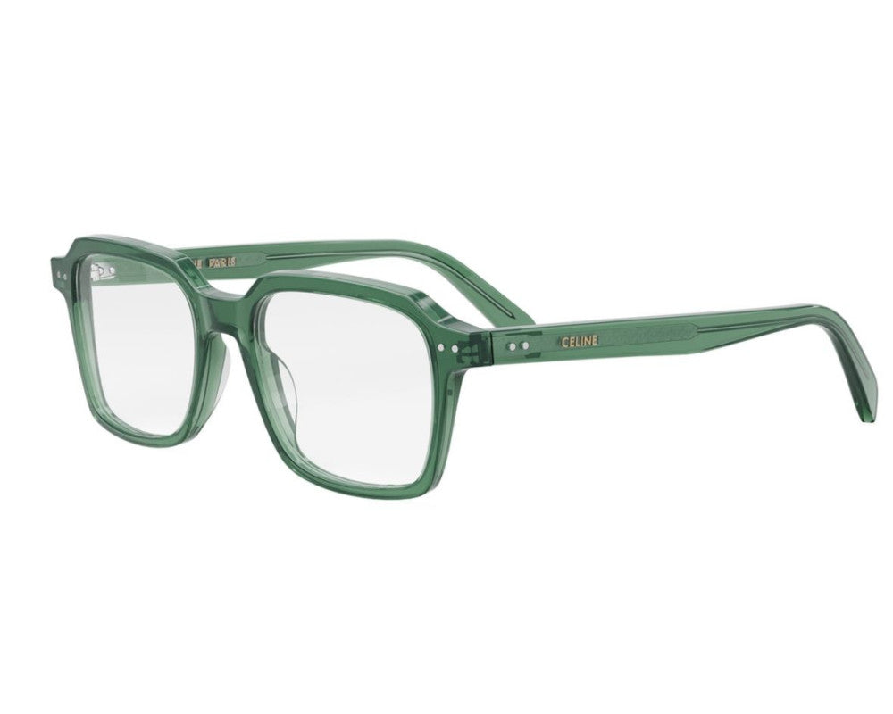 CELINE CL50139I