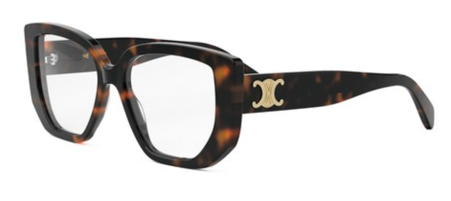 CELINE CL50146I