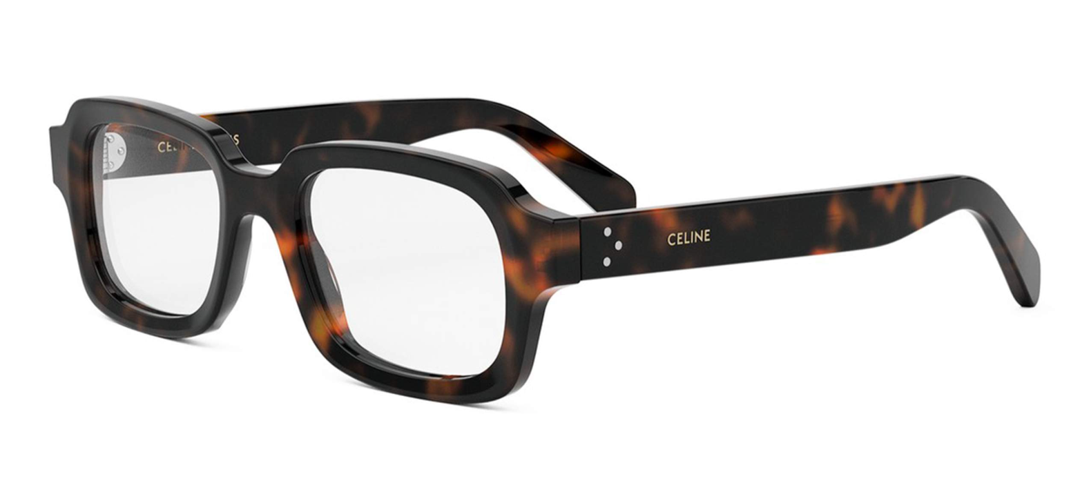CELINE CL50153I