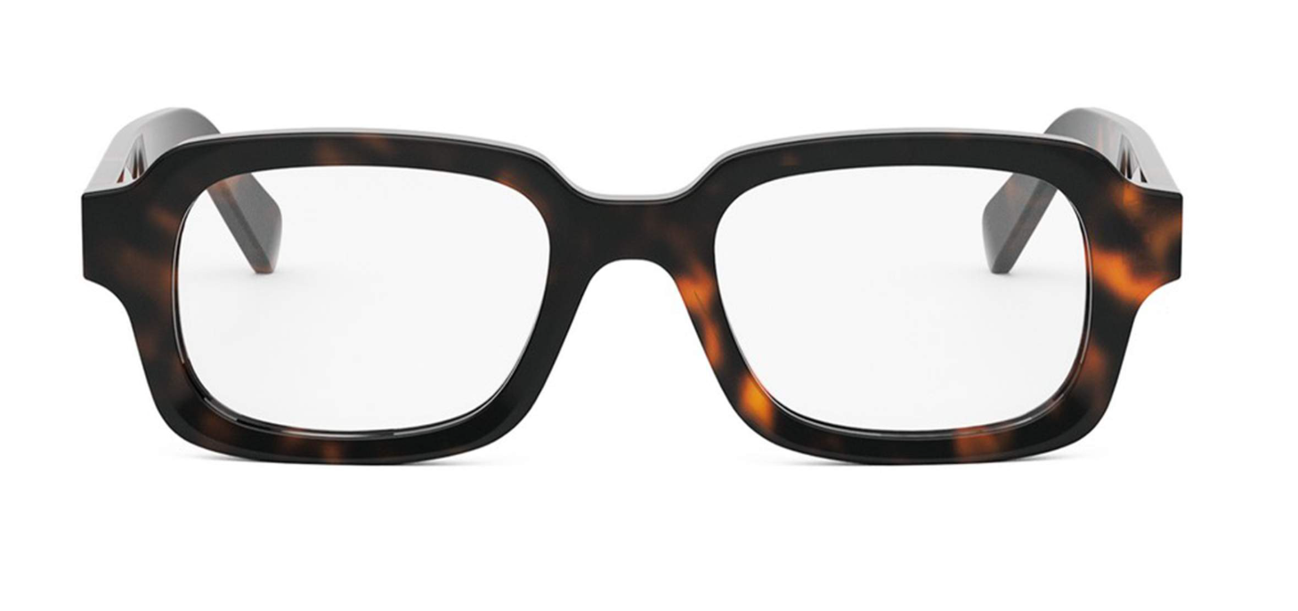 CELINE CL50153I