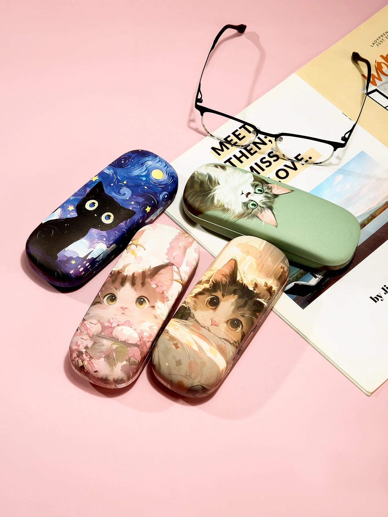 Etui a lunette chat