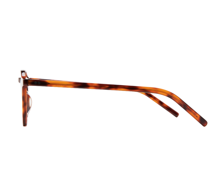 KALEOS VACCARD BIG - Marron - Lunettes de vue
