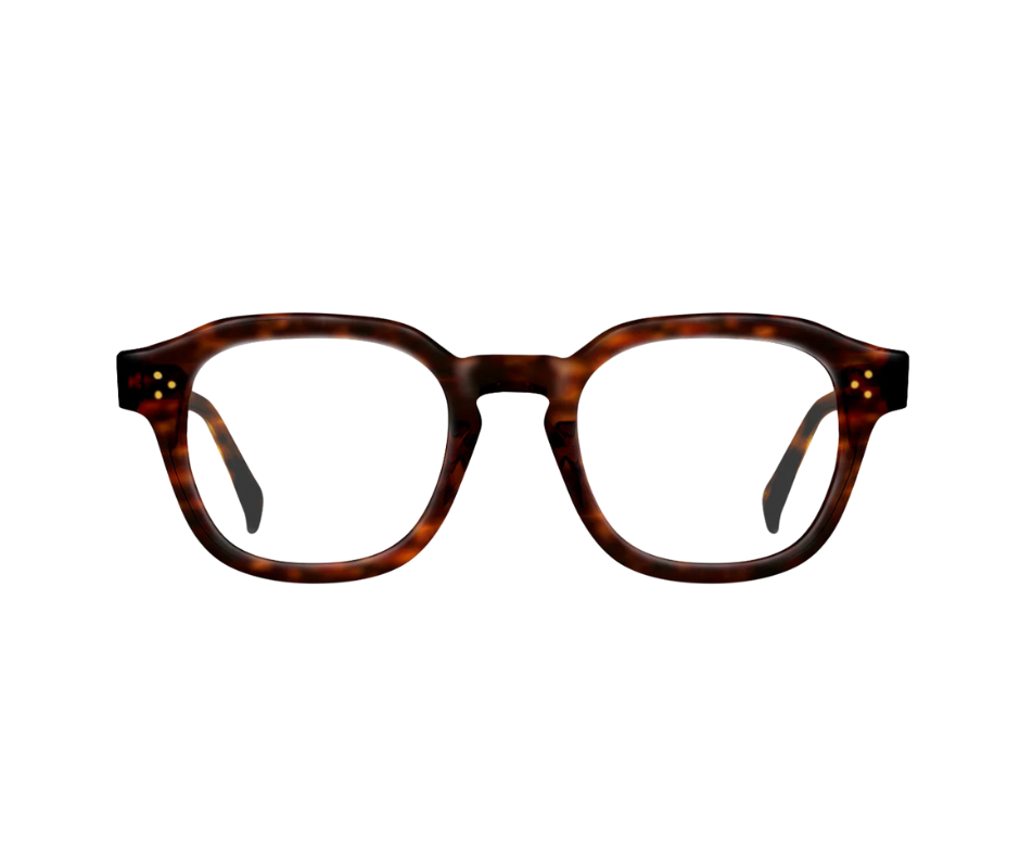RAEN RILKO - Kola Tortoise/Clear - Lunettes de vue