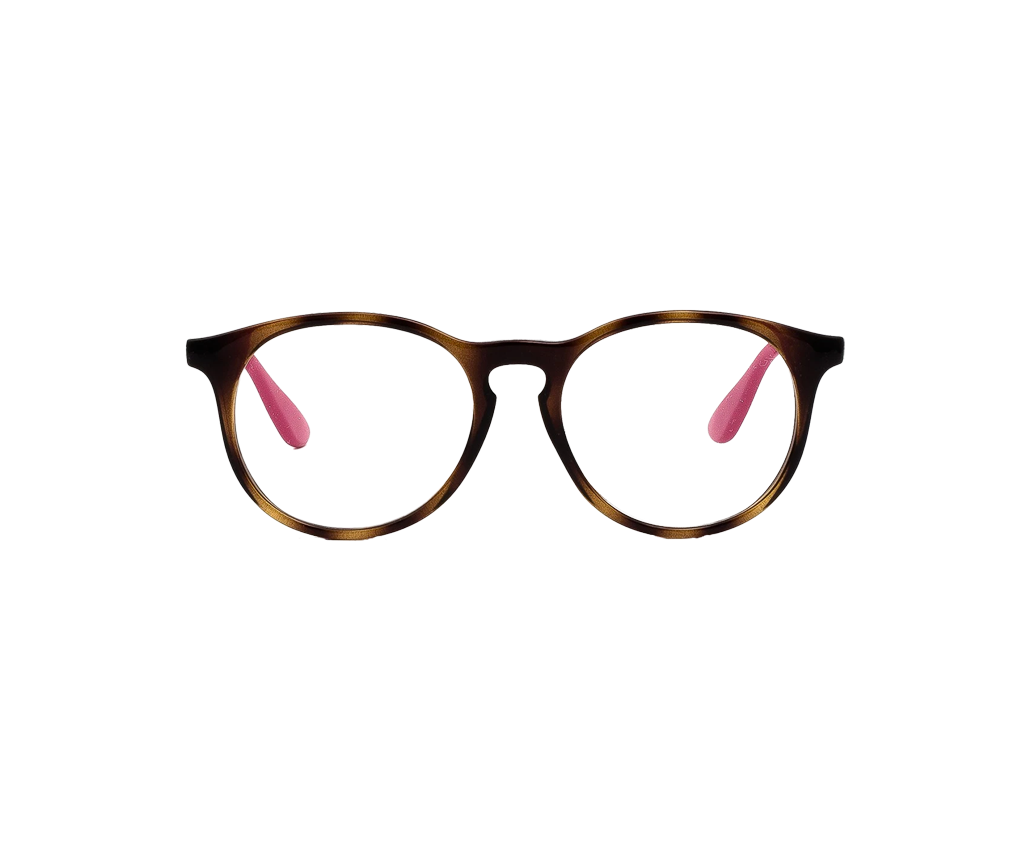 RAY-BAN RB1554 